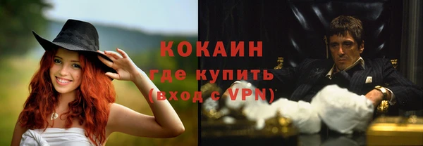мет Алексин