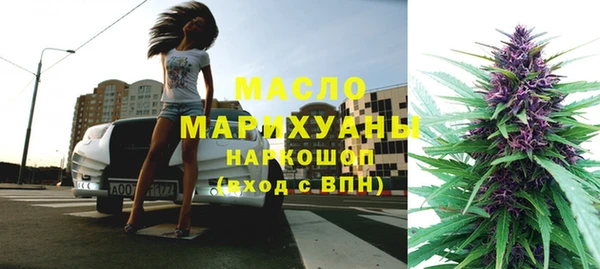 мет Алексин