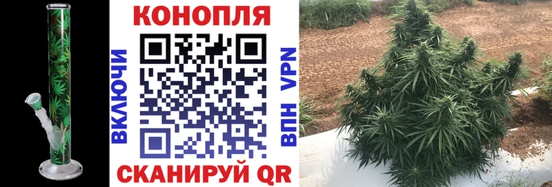 где купить наркотик  Биробиджан  Канабис SATIVA & INDICA 